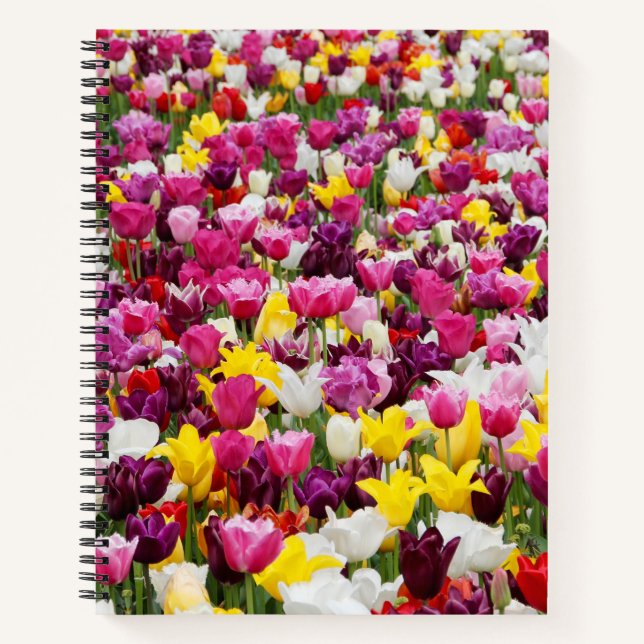 field full of tulips notebook (Front)