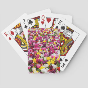 field full of tulips playing cards