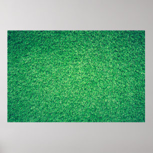 Field grass green lawn texture poster
