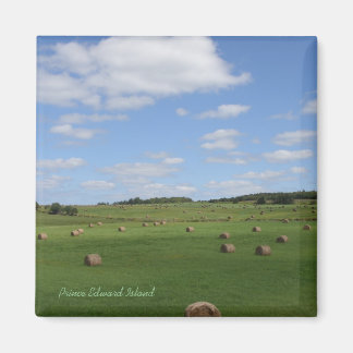 Field in PEI magnet