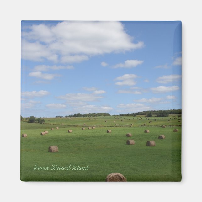 Field in PEI  magnet (Front)