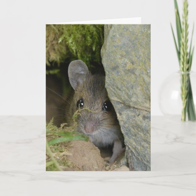 Field mouse in a hole in the wall card (Front)