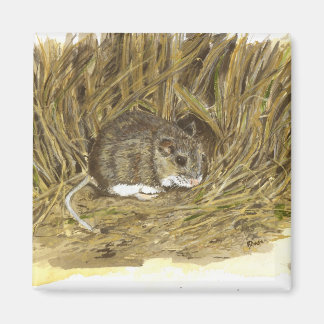 Field Mouse Magnet