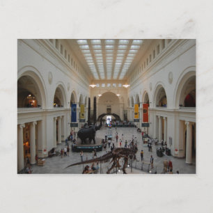 Field Museum Postcard