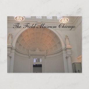 Field Museum, The Field Museum Chicago Postcard