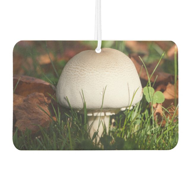 Field mushroom in a forest car air freshener (Front)