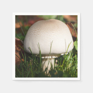Field mushroom in grass napkin
