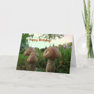 Field Mushrooms Happy Birthday Card