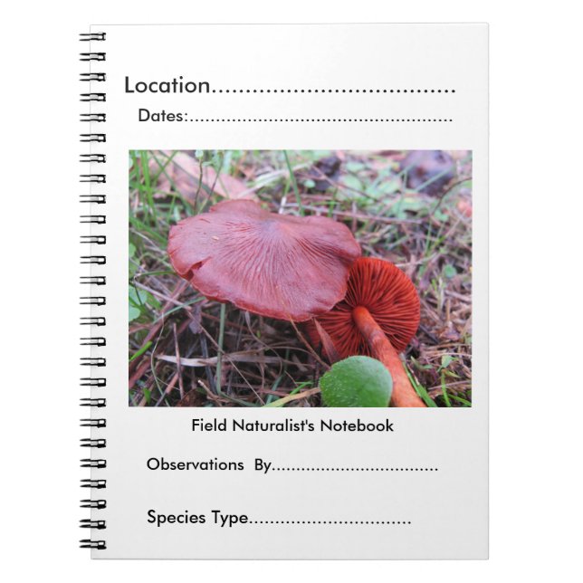 Field naturalist's Notebook by FungiOz (Front)
