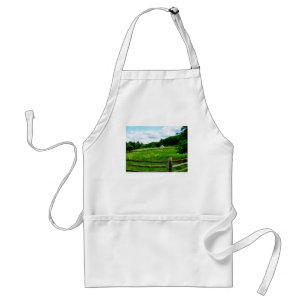 Field Near Weathered Barn Standard Apron