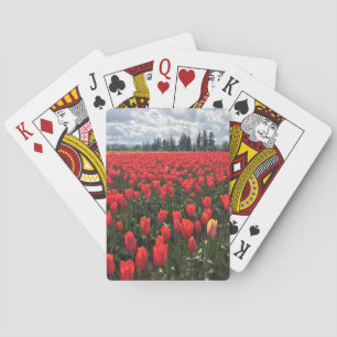 Field of Ballerina Tulips, Oregon Playing Cards