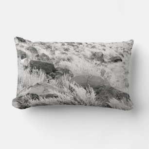Field of Basalt Lumbar Cushion