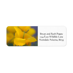 Field of blooming poppies return address label