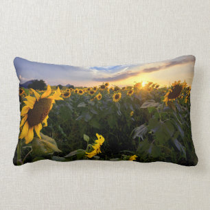 Field of Blooming Sunflowers Lumbar Cushion