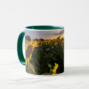 Field of Blooming Sunflowers Mug