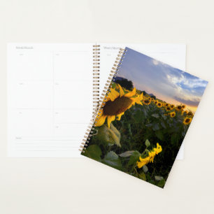 Field of Blooming Sunflowers Planner
