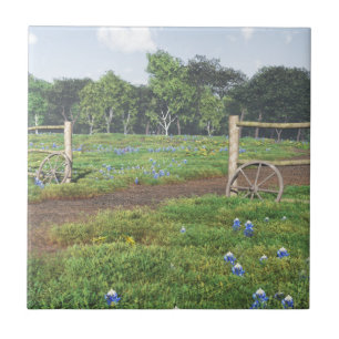 Field of Bluebonnets Ceramic Tile