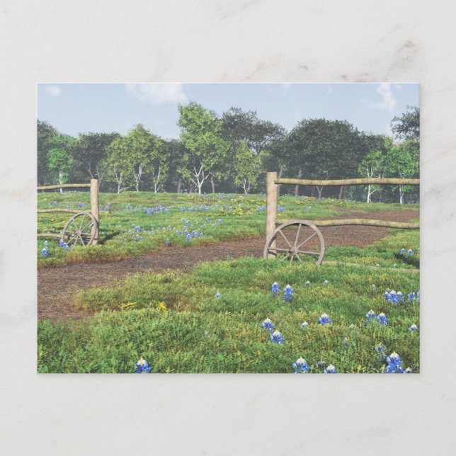 Field of Bluebonnets Postcard (Front)