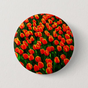 Field of Bright Orange Tulips - Watercolor Art 6 Cm Round Badge