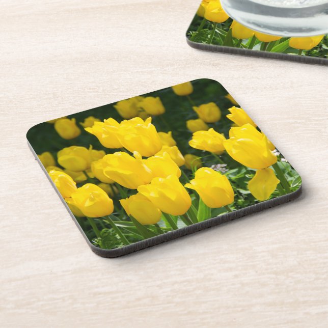 Field of bright yellow tulips coaster (Left Side)