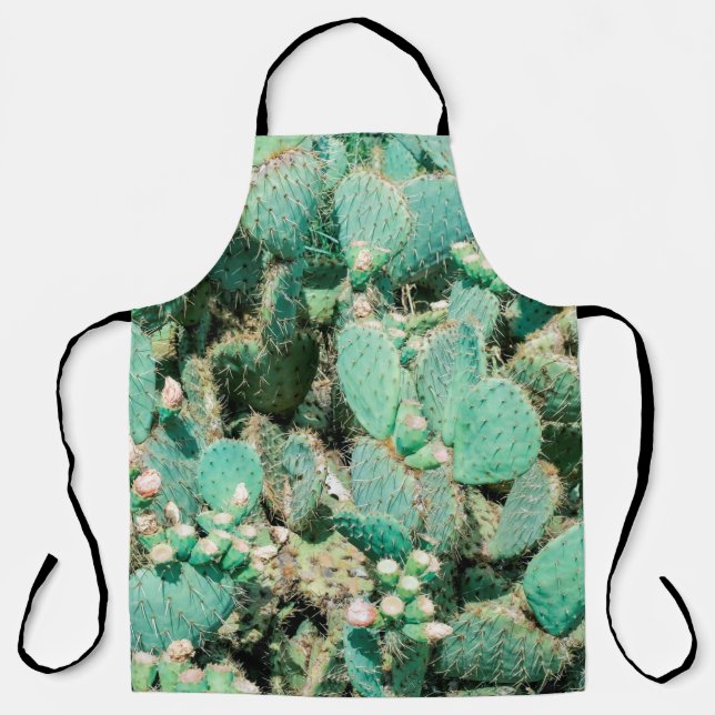 Field of cactus, prickly pear cactus ,cactus spine apron (Front)