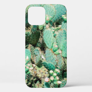 Field of cactus, prickly pear cactus ,cactus spine iPhone 12 case