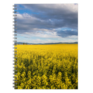 Field Of Canola In Late Evening Light Notebook
