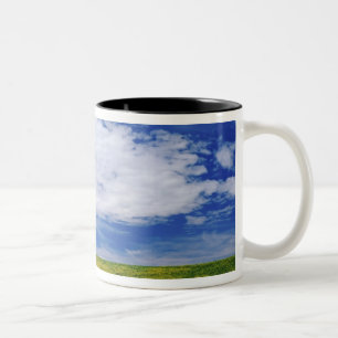 Field of Canola or Mustard flowers, Palouse Two-Tone Coffee Mug