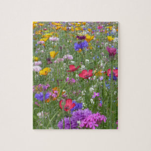 Field of Colourful Flowers Jigsaw Puzzle