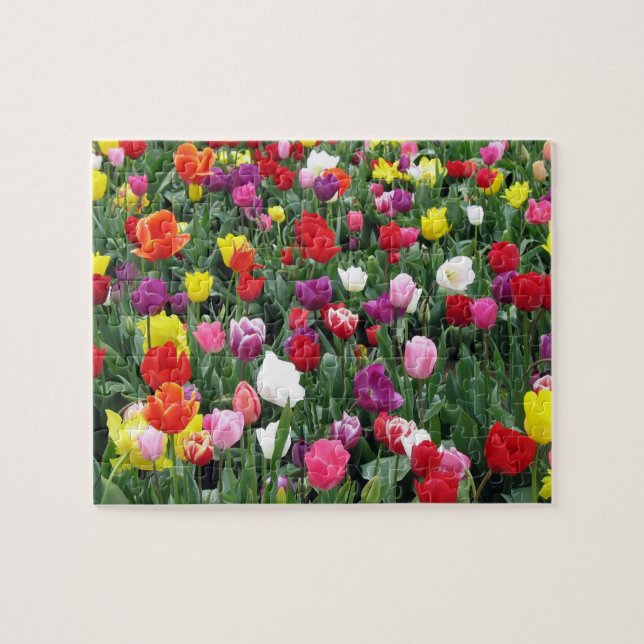 Field of Colourful Tulips Puzzle (Horizontal)