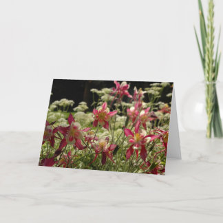 Field of Columbines Card