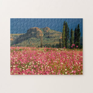 Field of Cosmos flowers, Fouriesburg District Jigsaw Puzzle