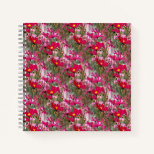 Field of Cosmos...... Notebook