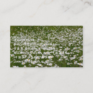 Field of Daisies Alaskan Wildflowers Business Card