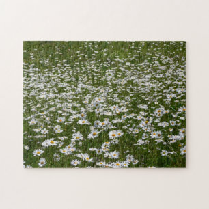 Field of Daisies Alaskan Wildflowers Jigsaw Puzzle