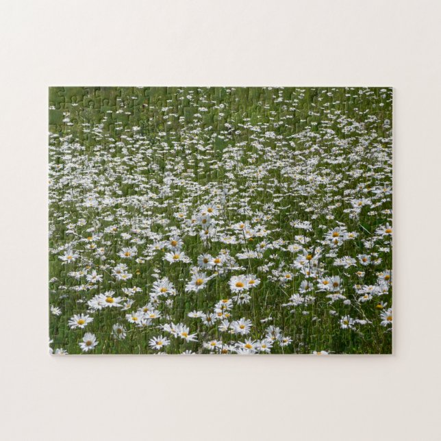 Field of Daisies Alaskan Wildflowers Jigsaw Puzzle (Horizontal)