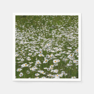 Field of Daisies Alaskan Wildflowers Napkin