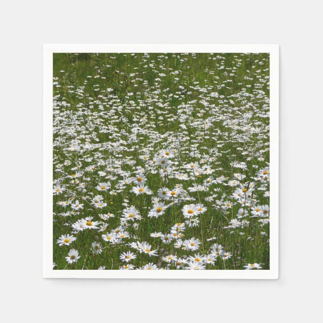 Field of Daisies Alaskan Wildflowers Napkin (Front)