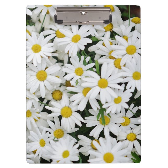 Field of Daisies Clipboard (Front)