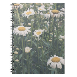Field Of Daisies Floral Spiral Notebook