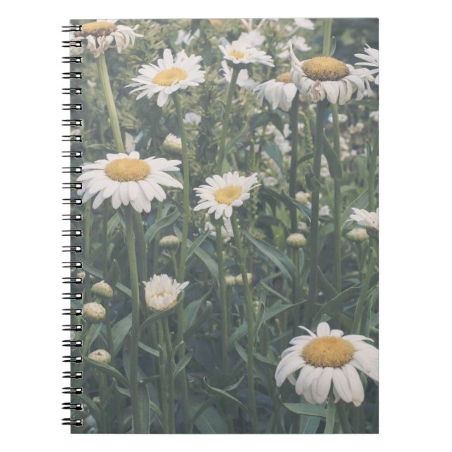 Field Of Daisies Floral Spiral Notebook (Front)
