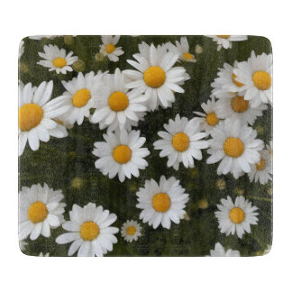 Field of Daisies Glass Cutting Board