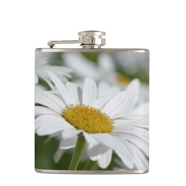 Field of Daisies Hip Flask (Front)