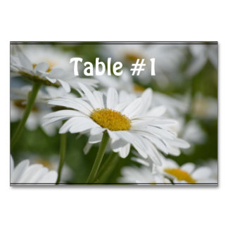 Field of Daisies Table Number
