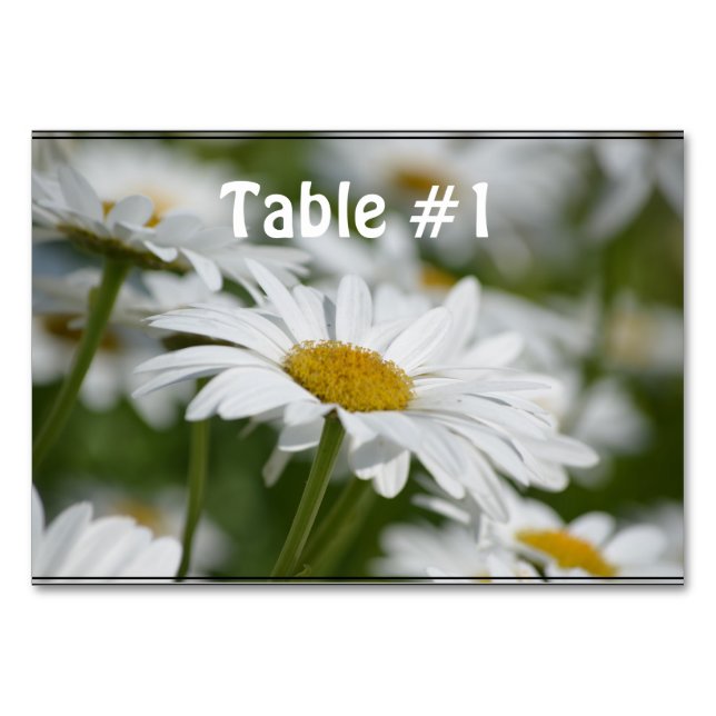Field of Daisies Table Number (Front)