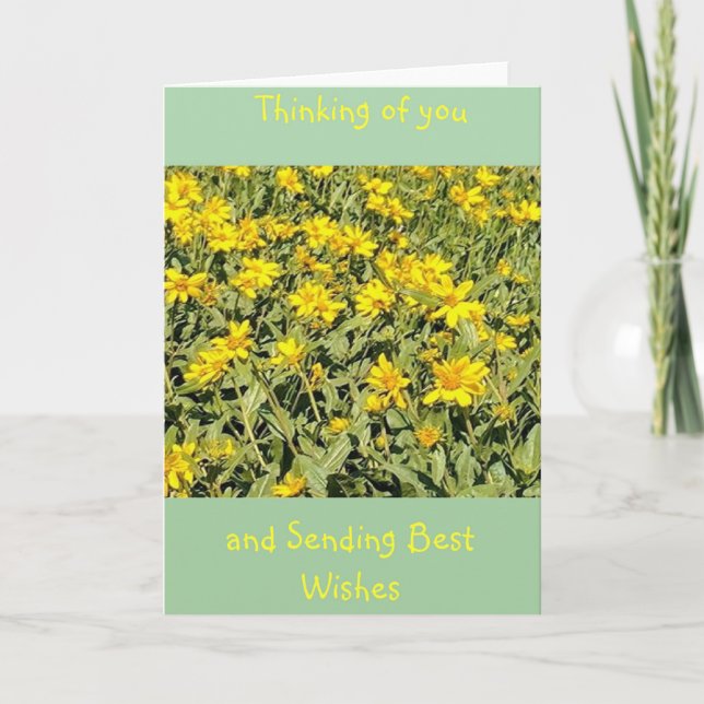 Field of Daisies Thinking of You Card (Front)