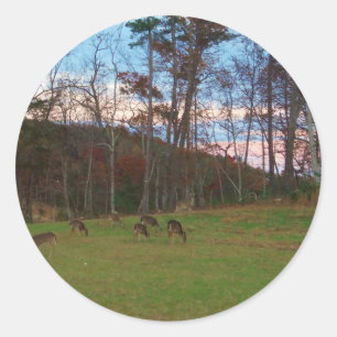 Field of Deer & a Pink SunSet Classic Round Sticker