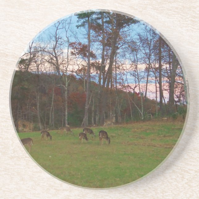 Field of Deer & a Pink SunSet Coaster (Front)