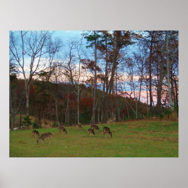 Field of Deer & a Pink SunSet Poster (Front)