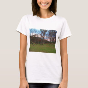 Field of Deer & a Pink SunSet T-Shirt